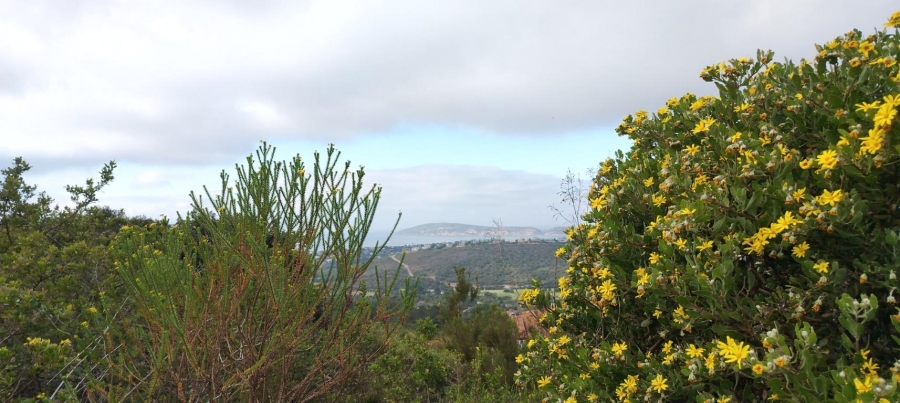 0 Bedroom Property for Sale in Schoongezicht Western Cape